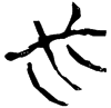 &55.E524;