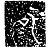 &81.E62E;