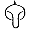 &81.F026;