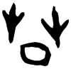 &41.E341;