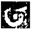 &36.E435;