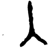 &32.E741;
