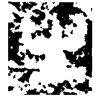 &35.E559;