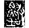 &38.E260;