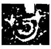 &36.E433;