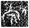 &39.E392;