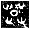 &35.E426;